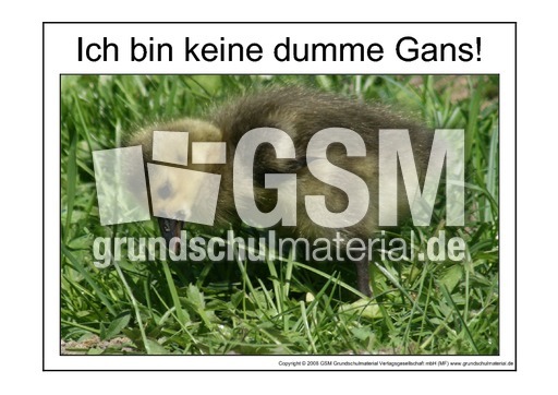 Dumme-Gans-4.pdf